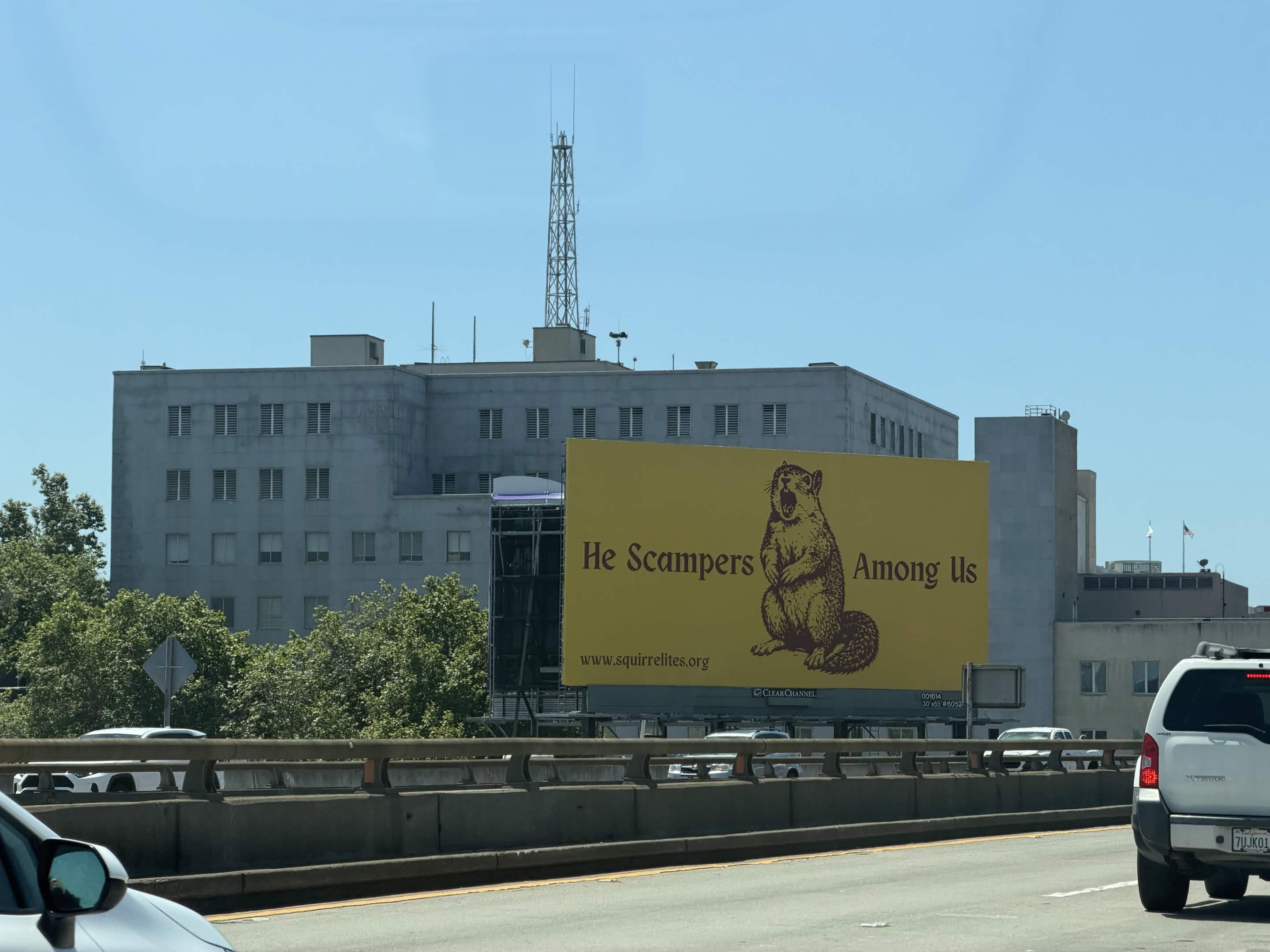 He Scampers Among Us