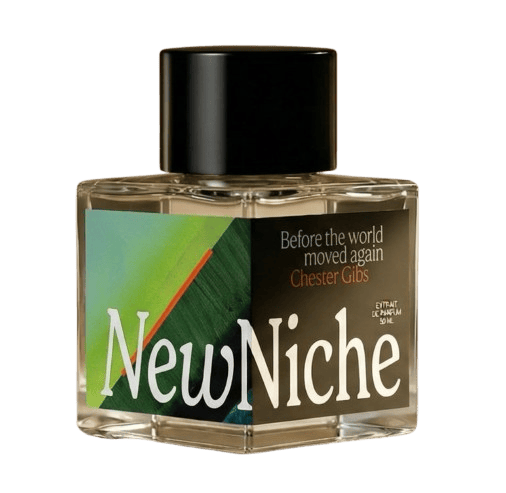 Chester Gibs - Before the world moved again