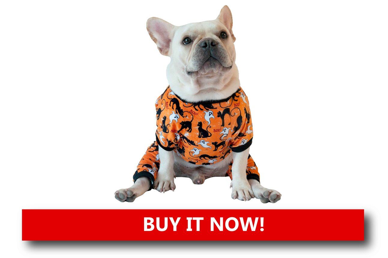 Plush Holiday Pajamas Alt text: A small dog wearing red fleece pajamas with snowflake patterns, sitting on a cozy rug next to a lit Christmas tree.