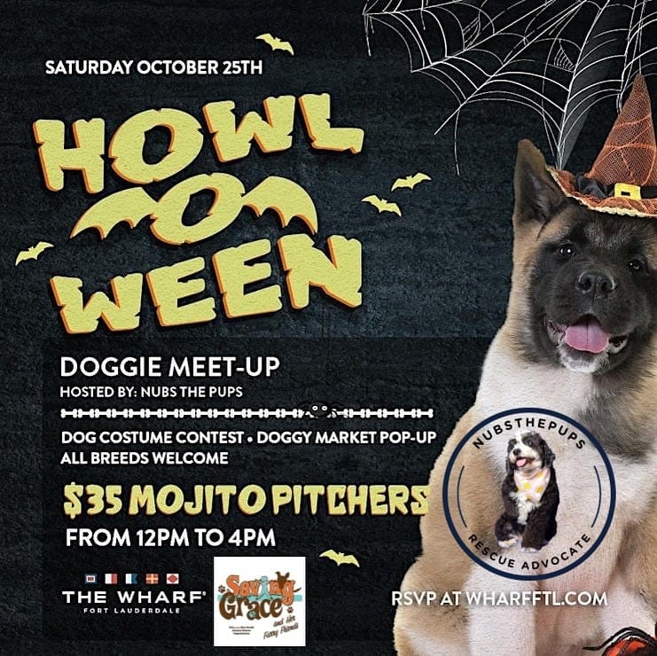 Doggie Meet-Up