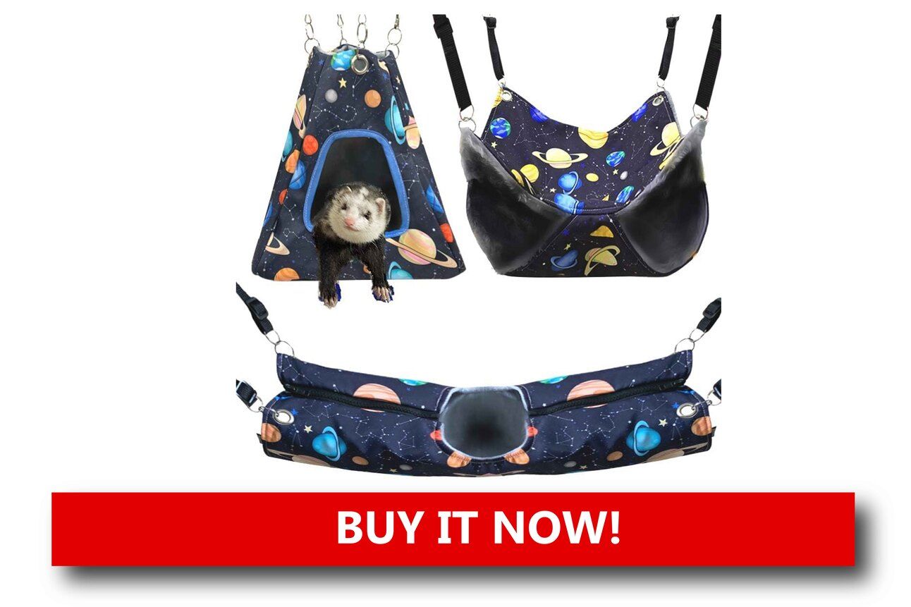 Tunnel Toy Set Alt text: A colorful crinkle tunnel with multiple entrances laid out on the floor, with a ferret poking its head out of one end mid-zoomie.