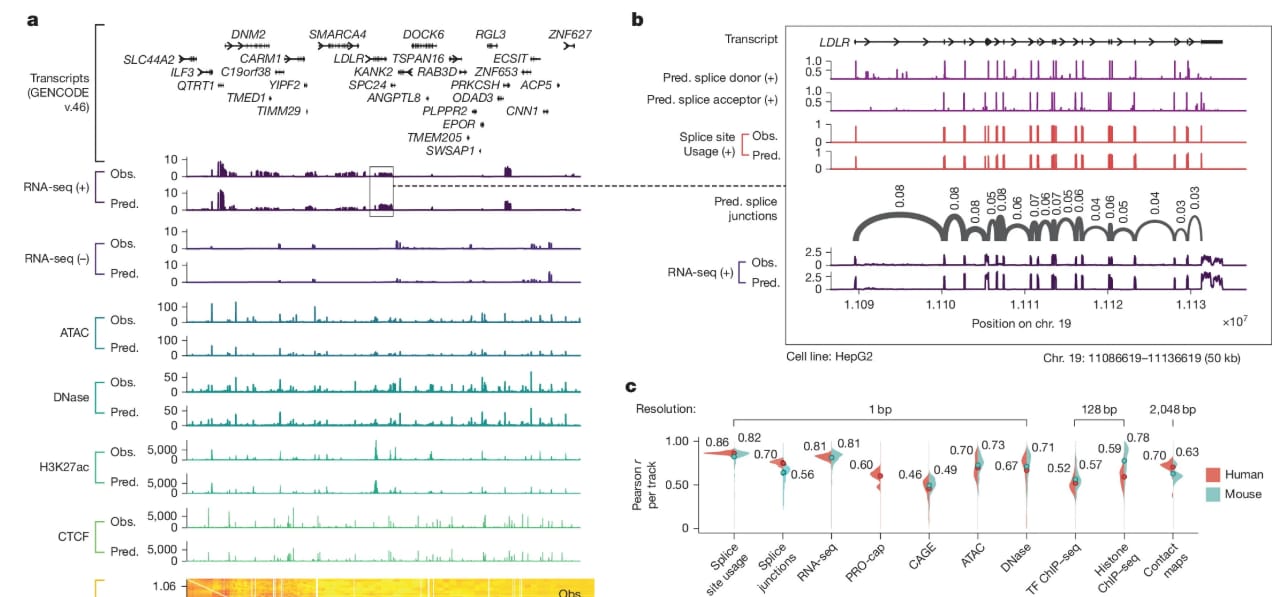 google-deepmind-turned-its-ai-on-dnas-dark-matter