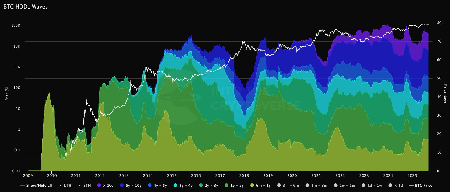 hodl waves