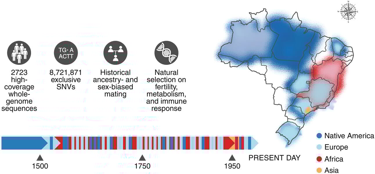 Brazilian genomic diversity.