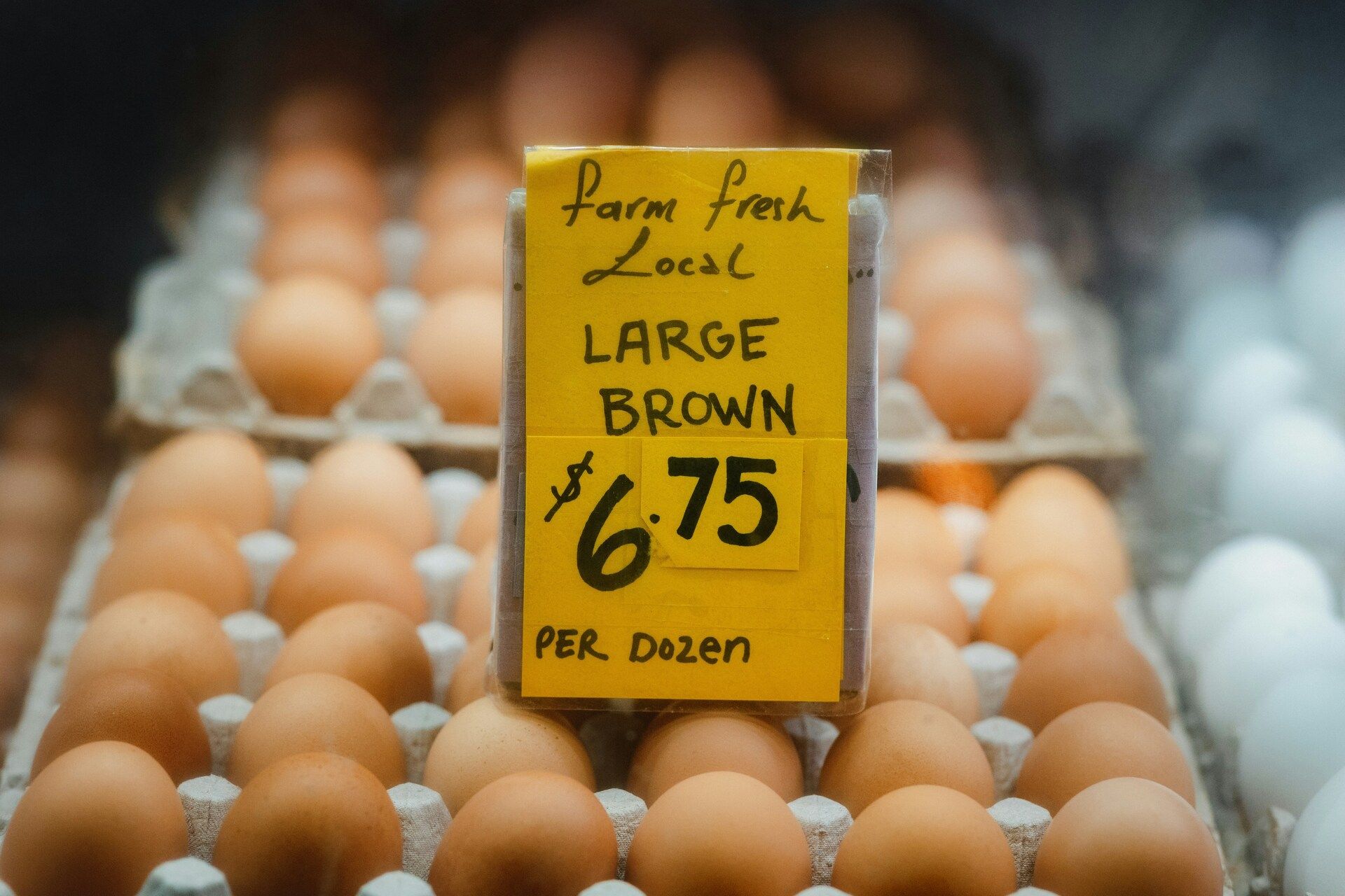 🕶️ Dynamic pricing meets... eggs. Newsletter