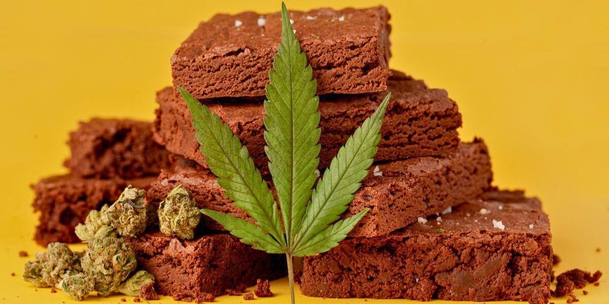 a chocolate brownie