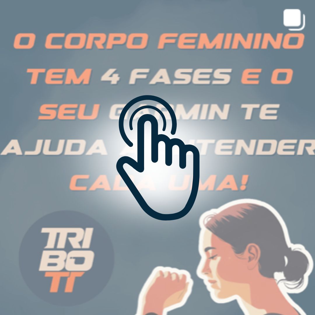 As 4 fases do ciclo menstrual