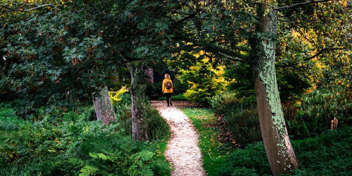 a walk in the park