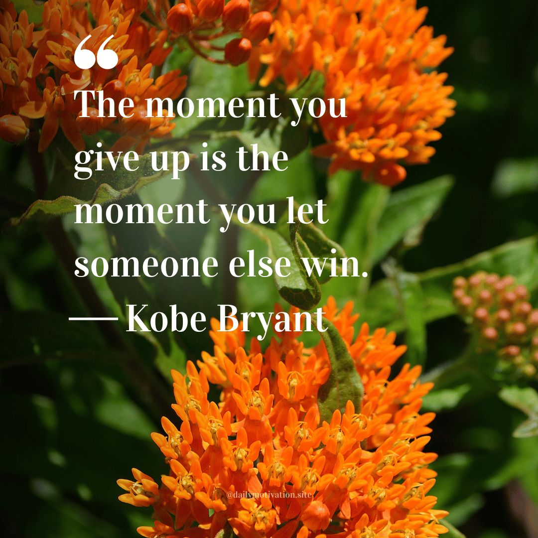 Close-up of bright orange flowers in full bloom against green foliage. Quote by Kobe Bryant: “The moment you give up is the moment you let someone else win.”