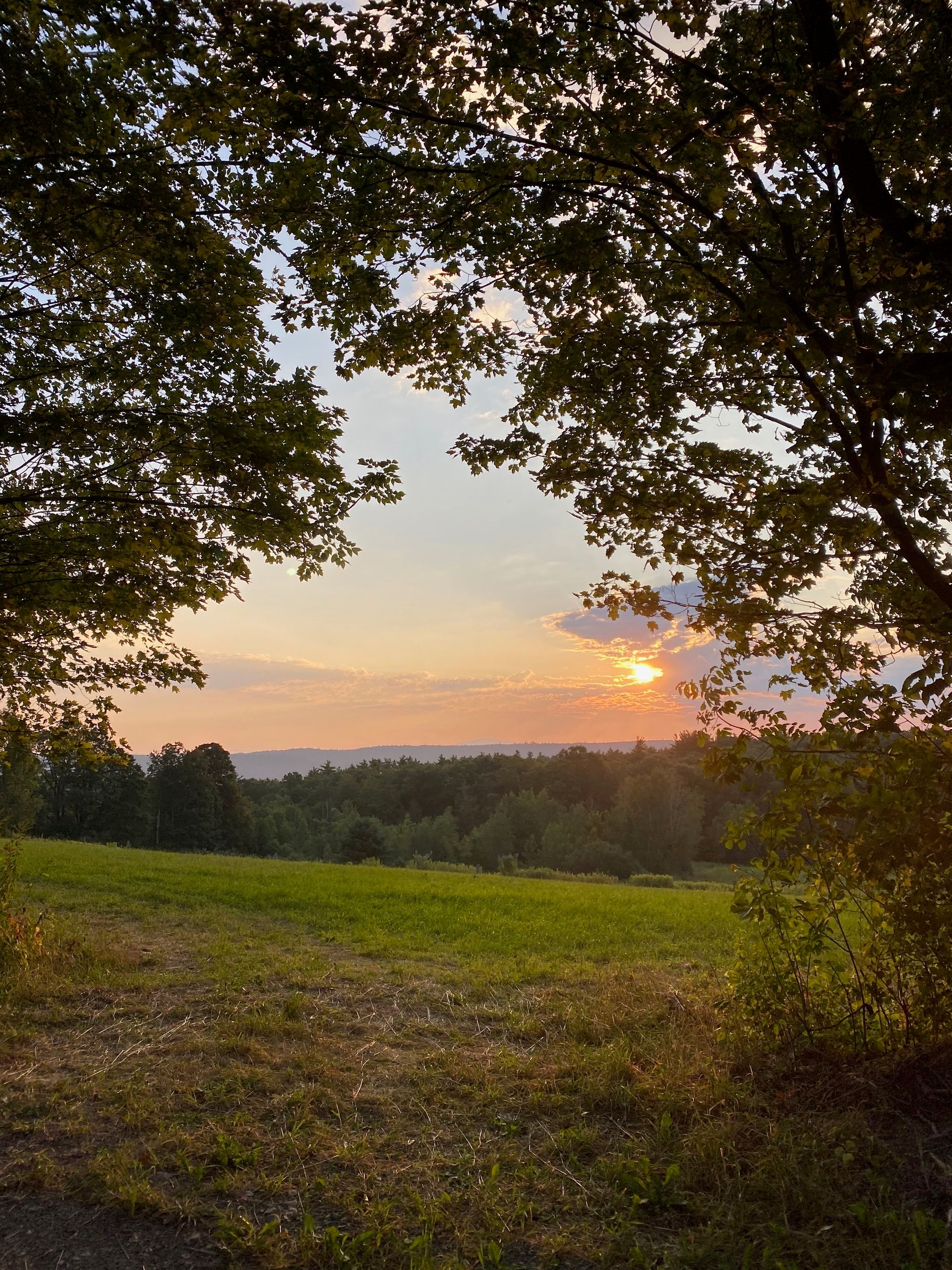 A view of the sun rising behind some mountains and a hilltop pasture, framed by two large trees..