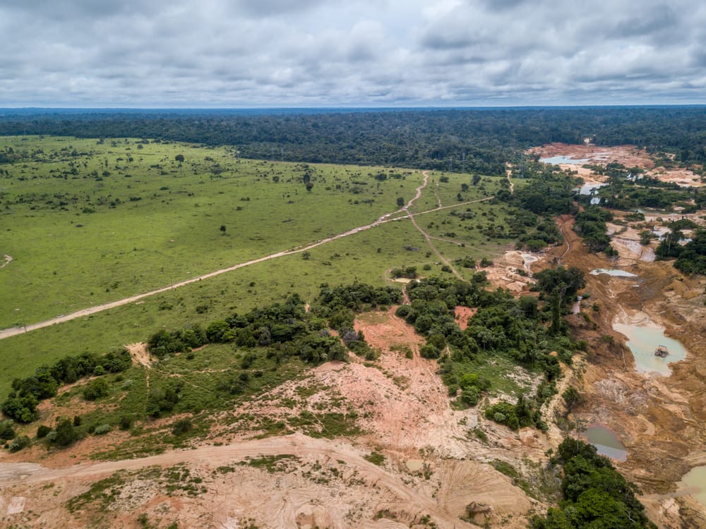 Deforestation and environmental destruction caused by illegal gold and metal mining along the BR-364 highway, near the Jamari National Forest in Rondônia state, Brazil. Photo: Paralaxis/Shutterstock.
