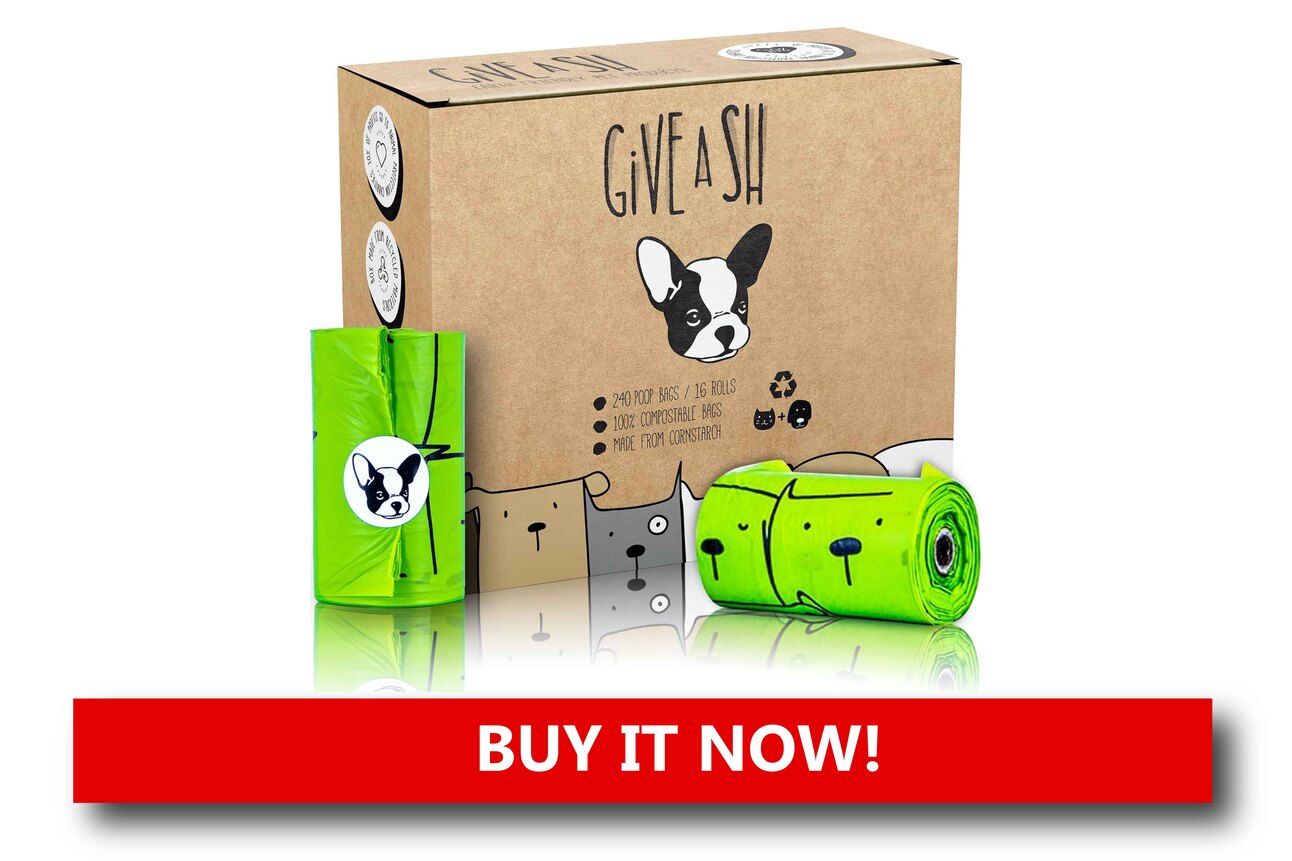 Biodegradable Poop Bags Alt text: A roll of green biodegradable poop bags made from plant-based materials, resting in a recycled cardboard dispenser next to a leash and collar.