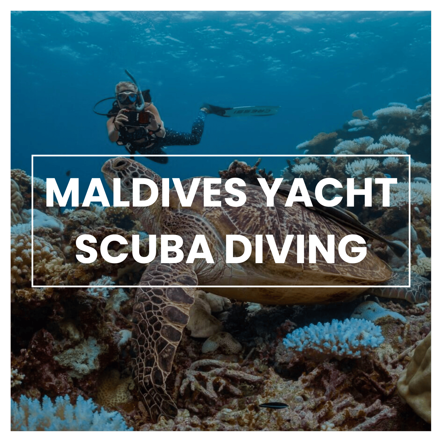Dream Vacations: A Luxury Scuba Diving Yacht in the Maldives