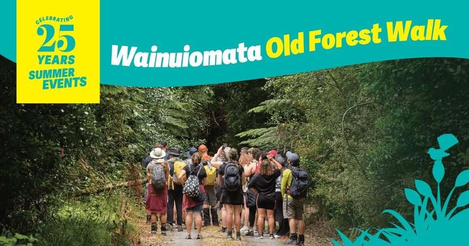 Guided Ancient Forest Walk – Wainuiomata Regional Park