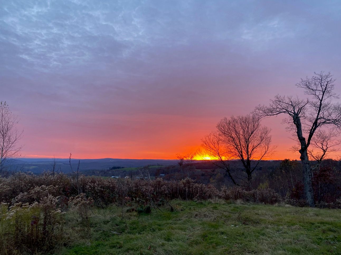 View of a brilliant sunset from a ridgetop. The sky is red, pink, and purple, the sun a golden orb low on the horizon. Two bare black trees are silhouetted against the sky.