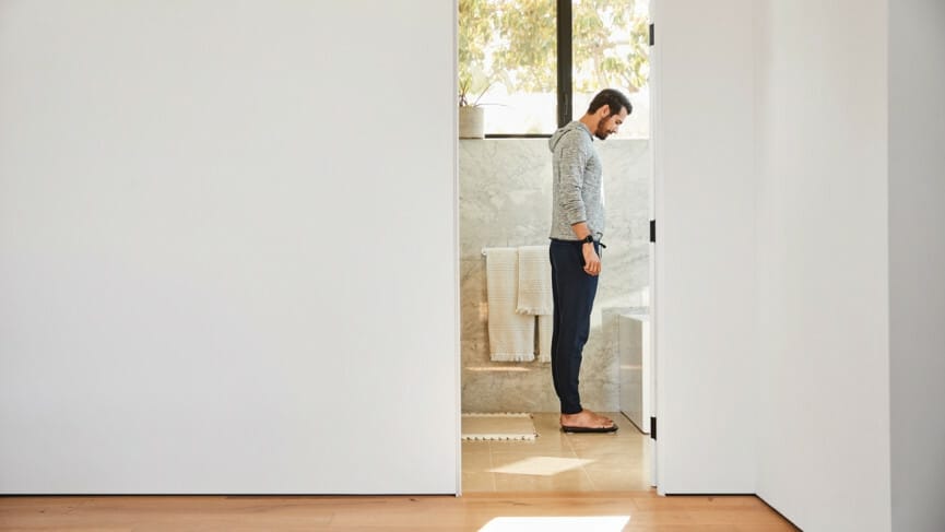 Aria Air - An affordable Fitbit smart scale