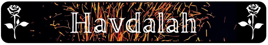 White roses on either side of the word "Havdalah" in front of fireworks