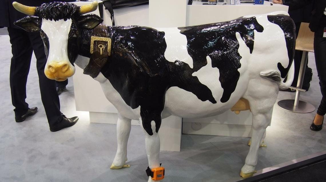 Estrus Detection System for Cattle wearable cows