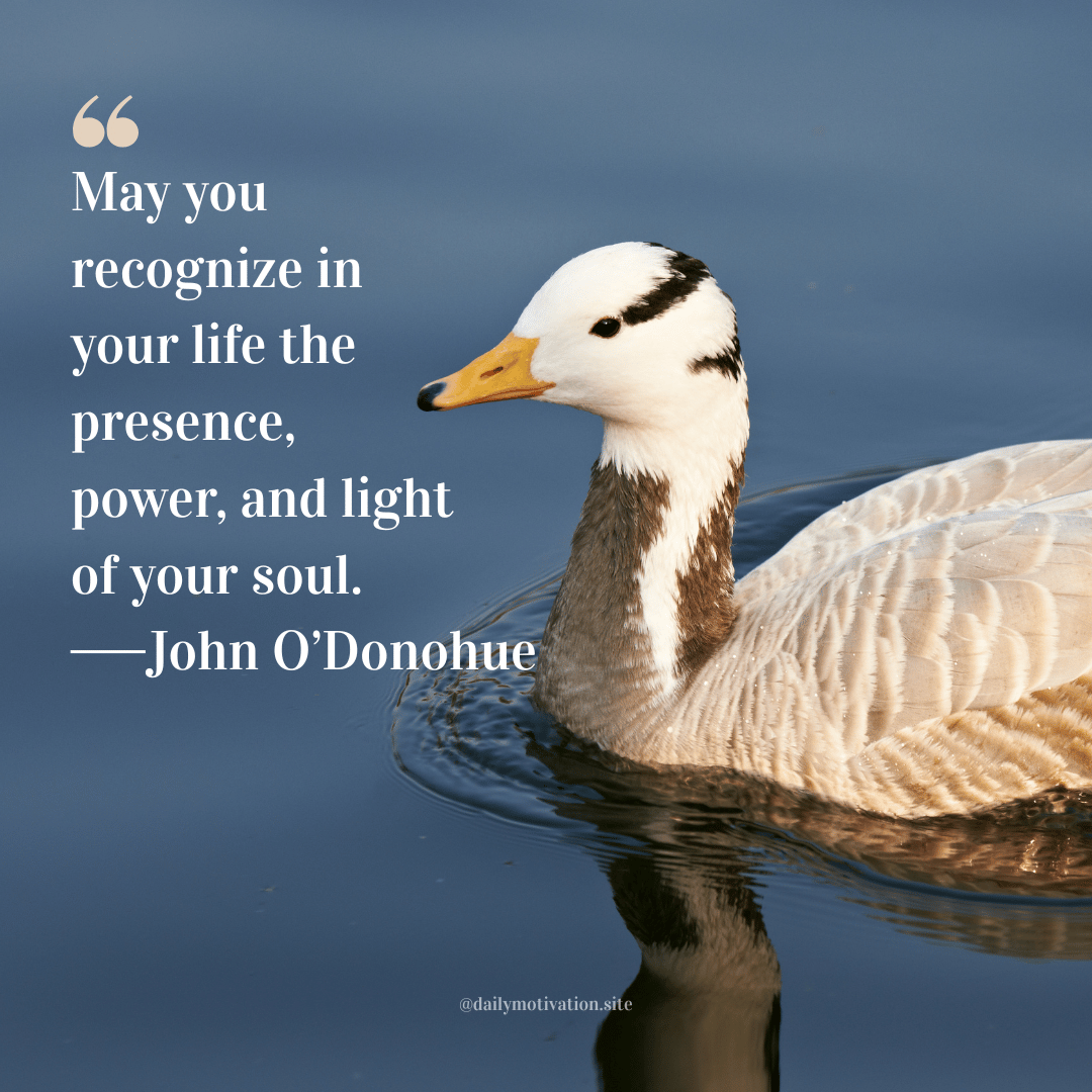White and gray duck with yellow beak swimming in calm blue water. Quote by John O’Donohue: “May you recognize in your life the presence, power, and light of your soul.”