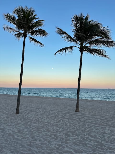 The moon between a couple of palm trees