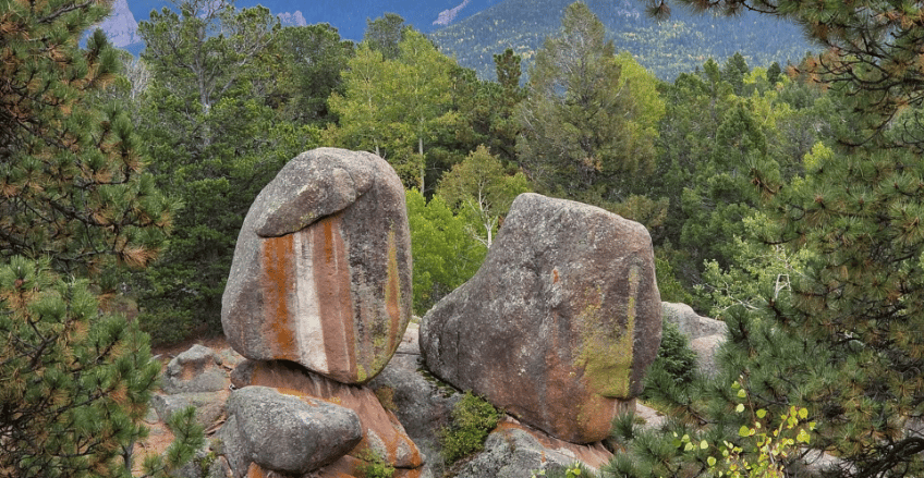 Black Bear Trail