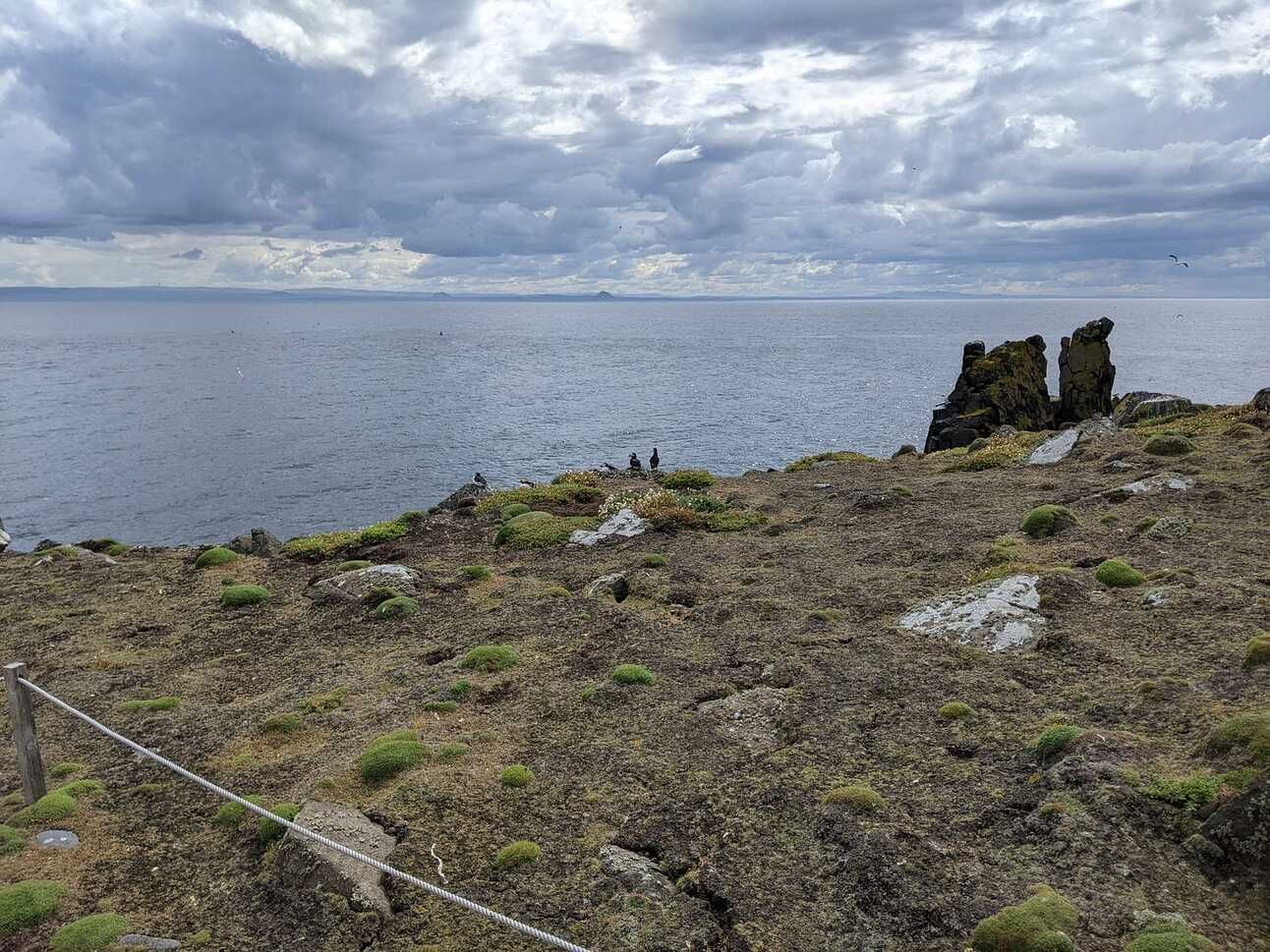 A pair of puffins on an island, with the Firth of Forth and distant hills in the background