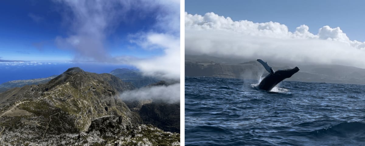Imagen de Madeira & Azores