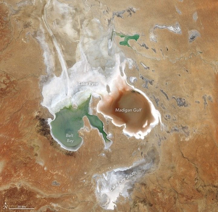As the water retreated, Landsat 8 imagery captured striking color changes across the basin, produced by shifting sediments, salinity, and microbial activity exposed during the drying phase. The episode highlights the sensitivity of Lake Eyre’s hydrology to extreme rainfall events and the speed with which the landscape transitions between inundation and desiccation in one of Australia’s most arid regions. The two deepest parts of the lake, Belt Bay and Madigan Gulf, still contained some water, which took on greenish and reddish hues, respectively.