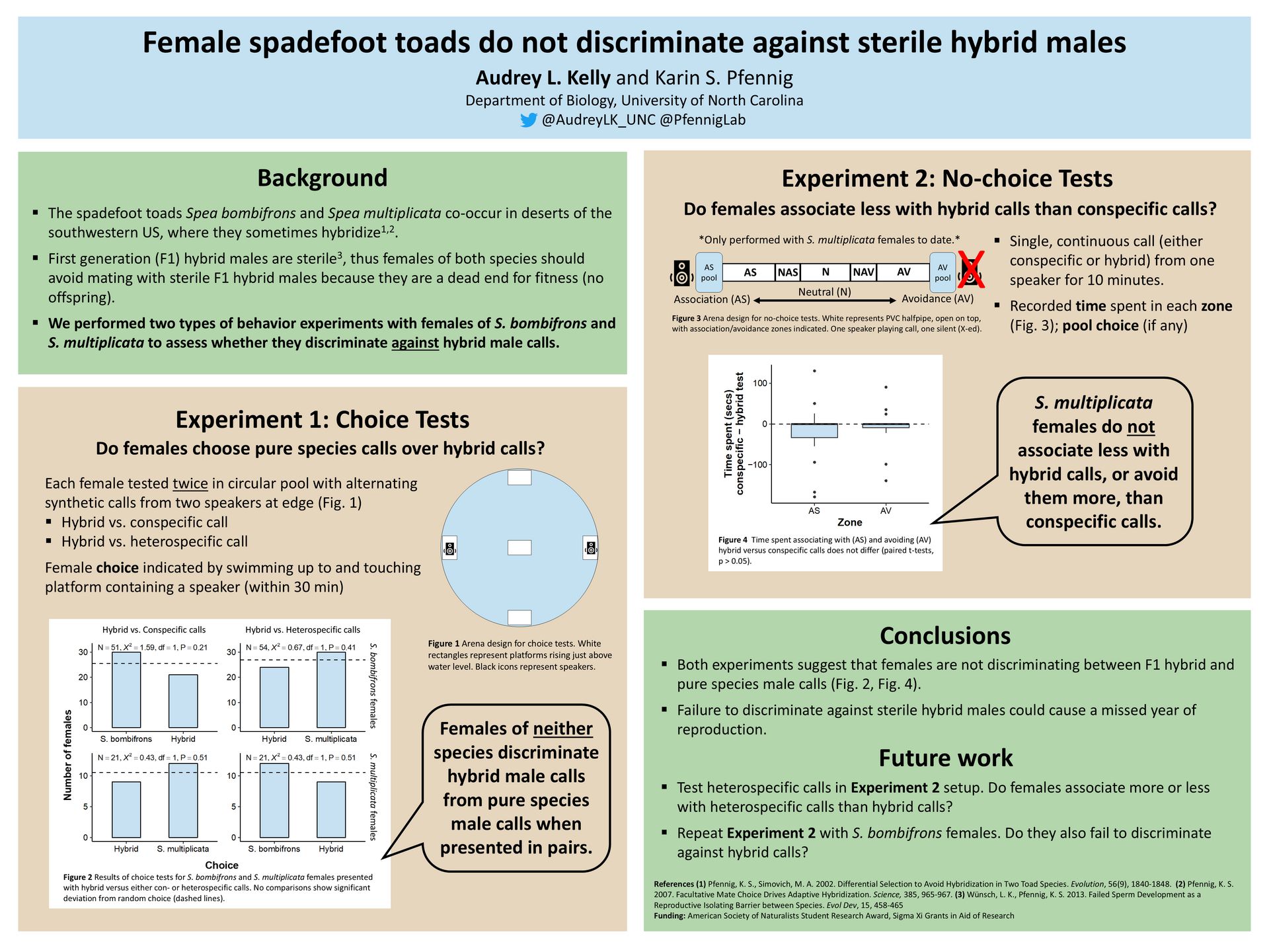 Poster titled, "Female spadefoot toads do not discriminateagainst sterile hybrid males."