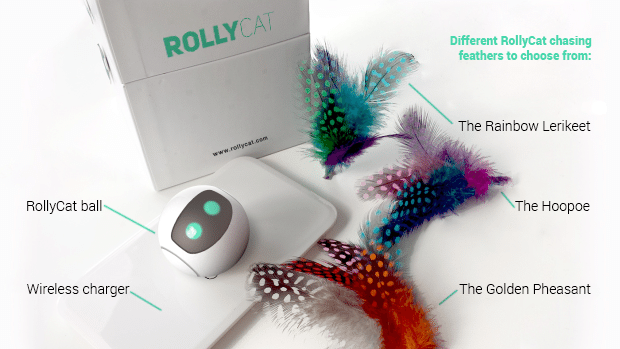 RollyCat connected object cat