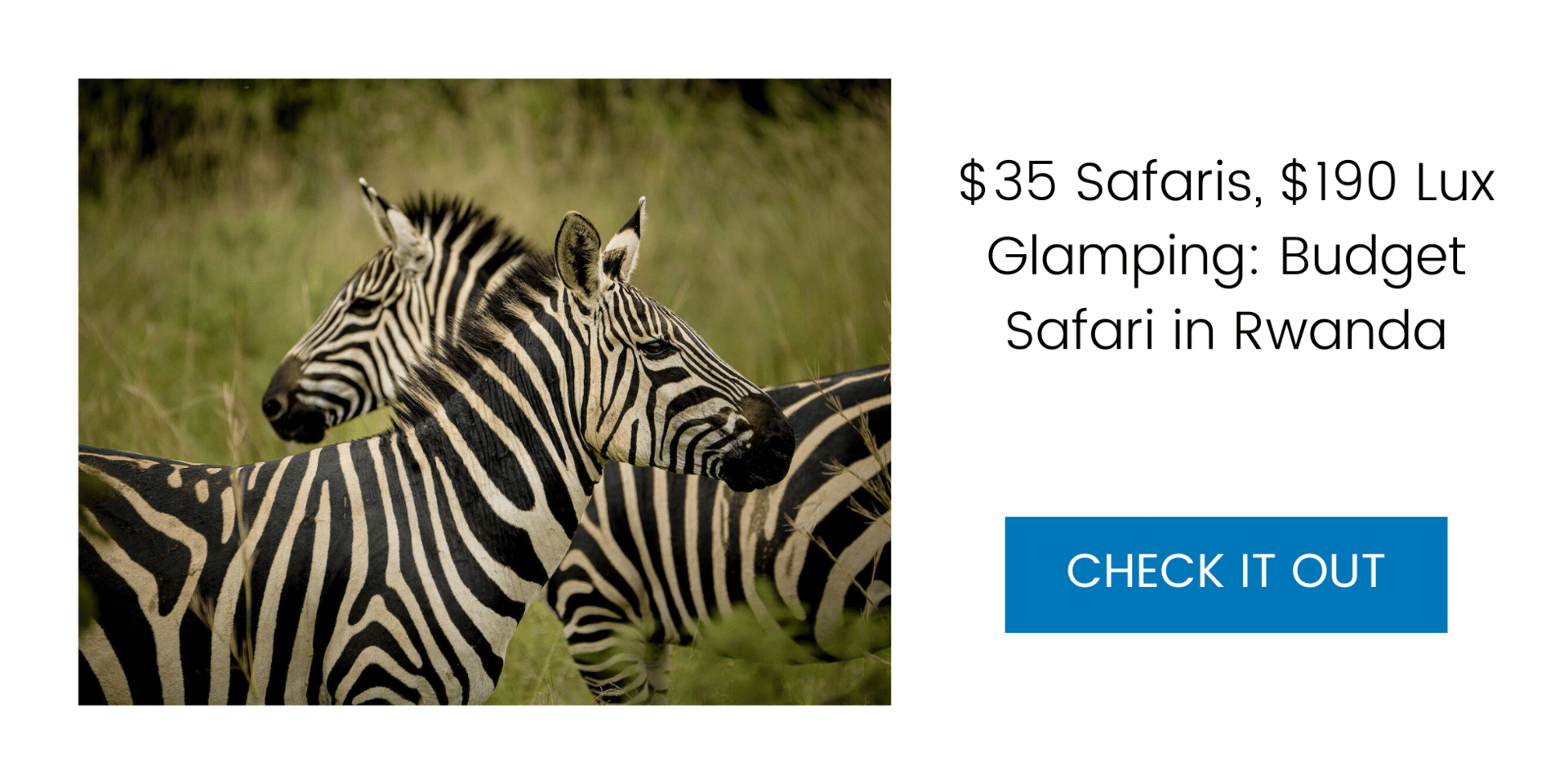 $35 Safaris, $190 Lux Glamping: a Budget African Safari in Rwanda