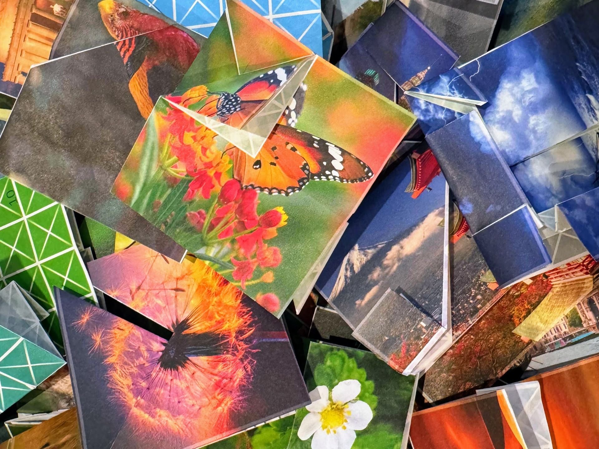 a group of Foldology puzzles shown as an example of the Pounce Pot Protocoll