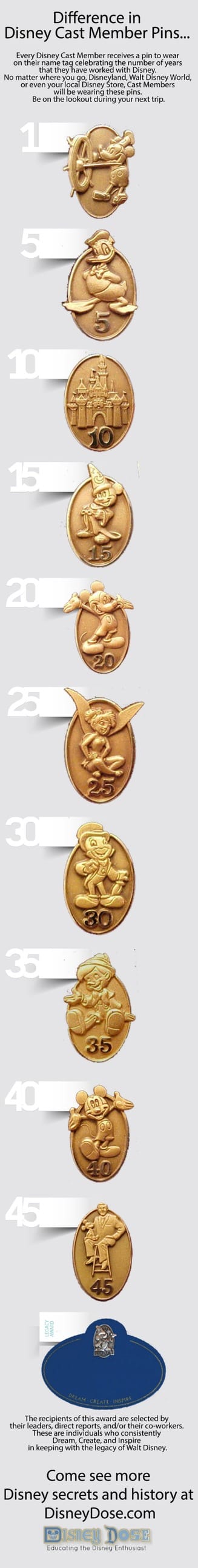 disney-cast-member-service-pins-awards