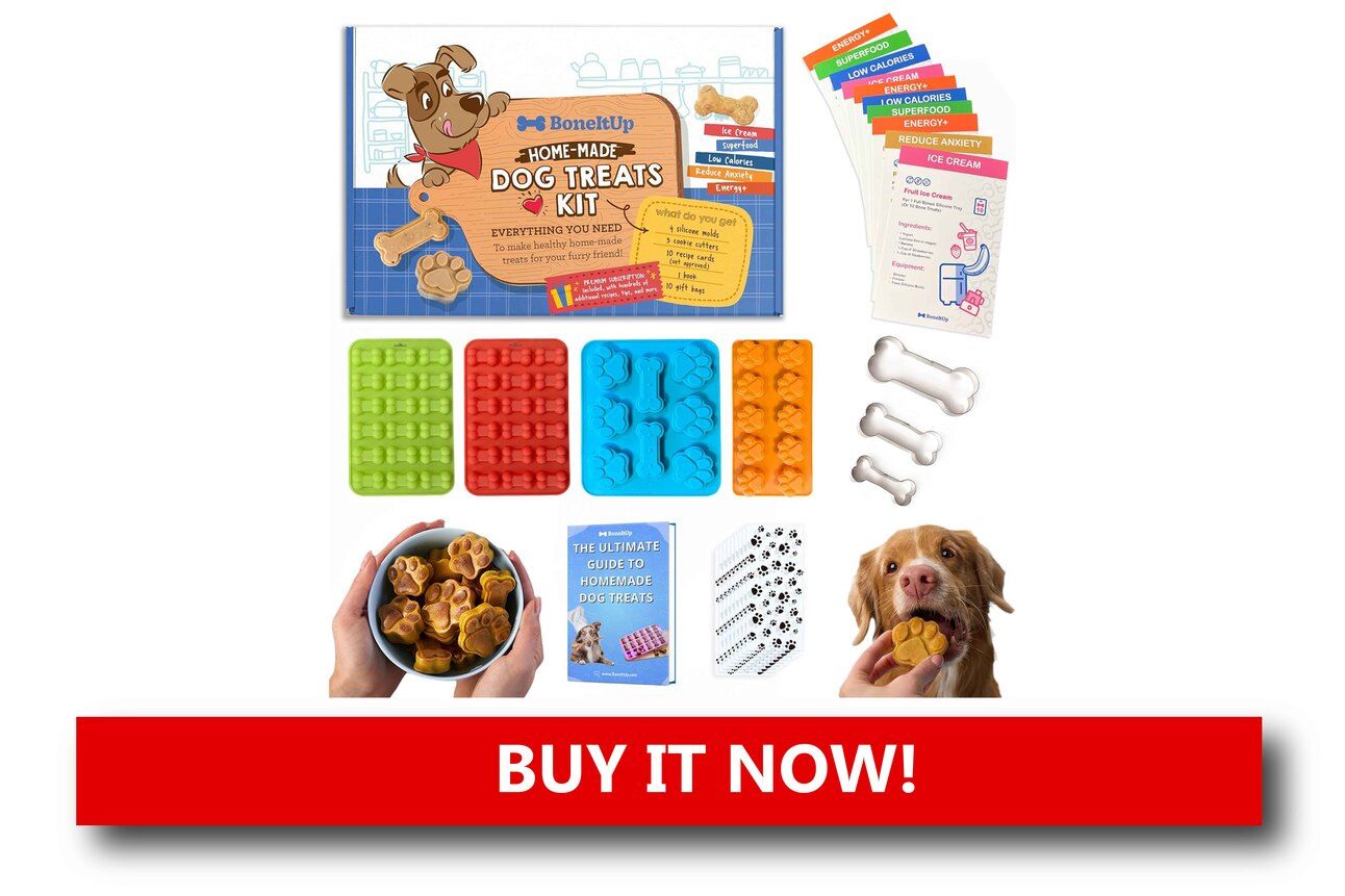 Pet Treat Baking Kits Alt text: A kitchen counter with cookie cutters, baked dog treats shaped like bones and trees, and a festive holiday baking kit open beside a pet bowl.