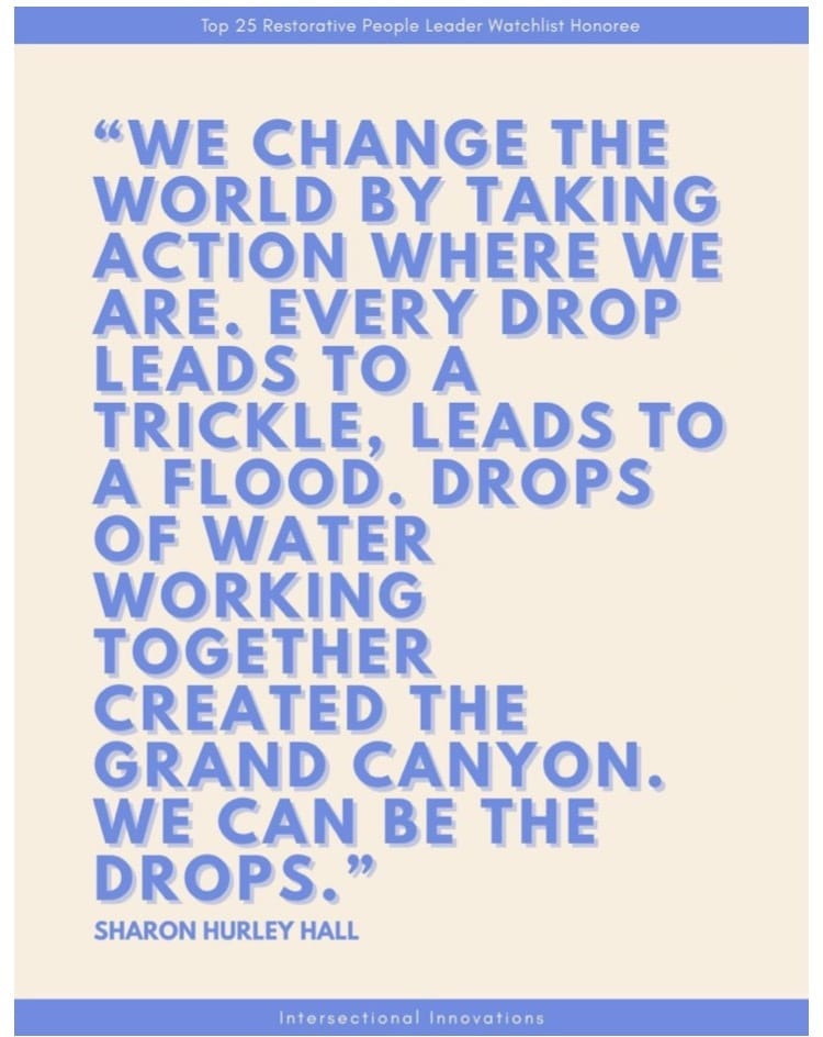 A quote from Sharon Hurley Hall: ‘We change the world by taking action where we are. Every drop leads to a trickle, leads to a flood. Drops of water working together created the Grand Canyon. We can be the drops.” The quote is in blue letters on a beige background with blue borders at the top and bottom.