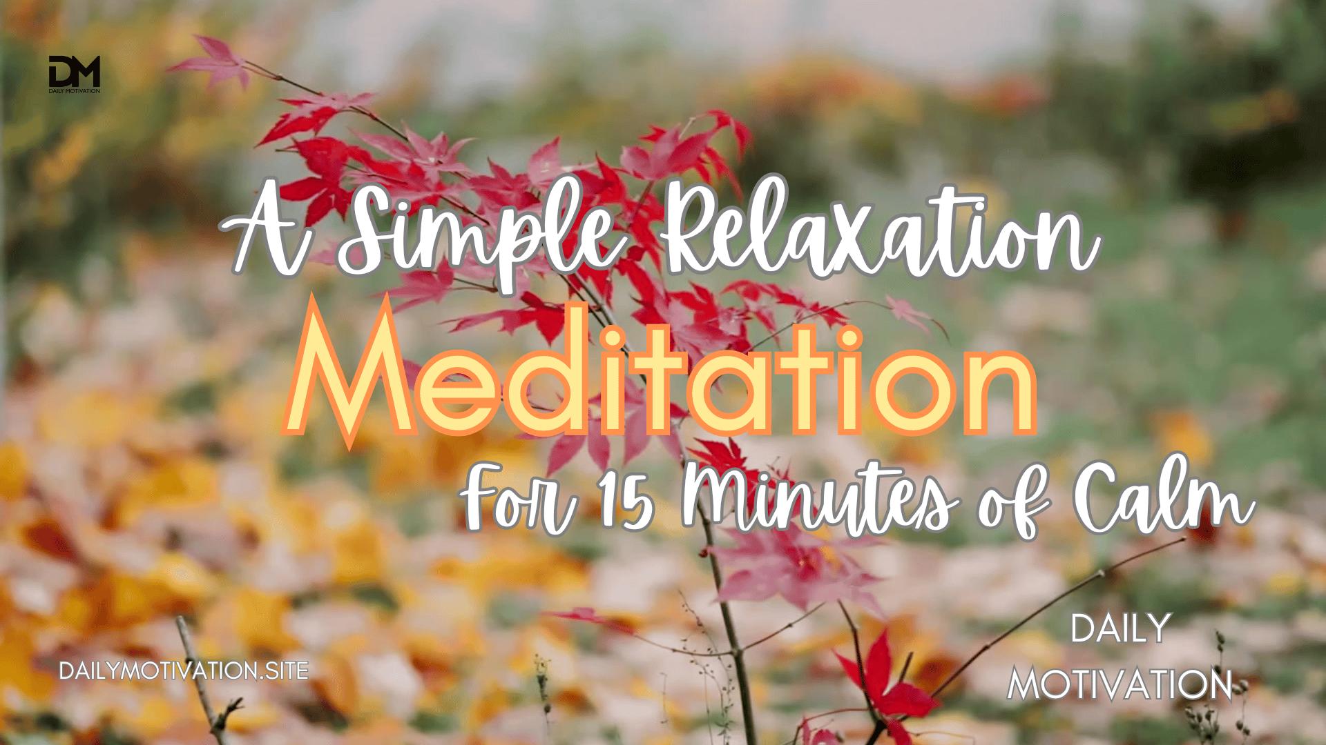 A simple relaxation for 15 minutes of calm