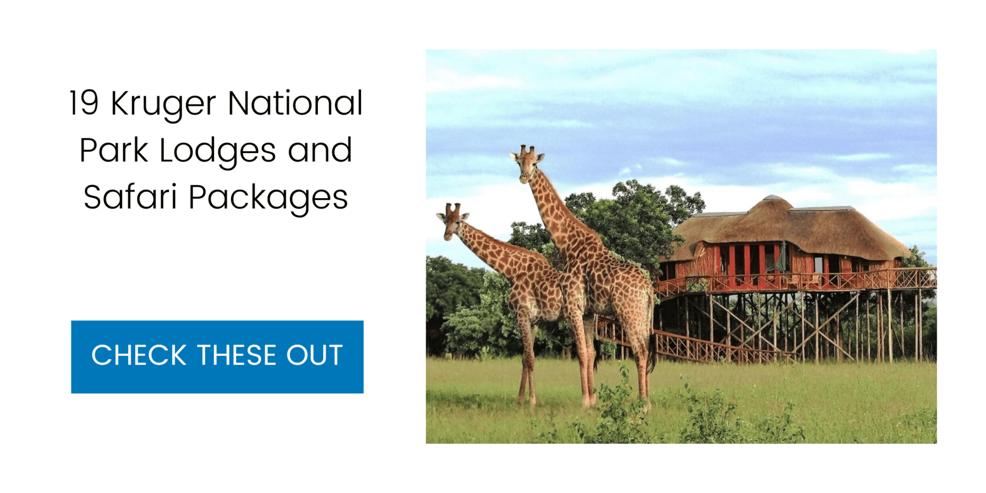 19 Kruger National Park Lodges and Safari Packages, From Budget to Luxe