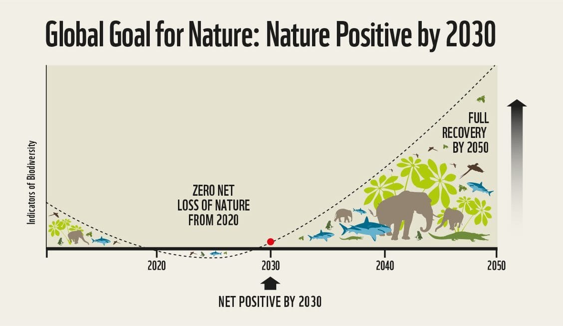 Global goal for nature: nature positive by 2030