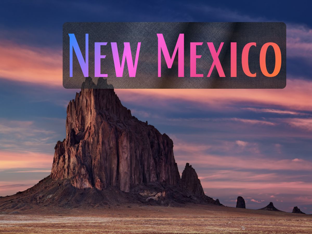 State - New Mexico