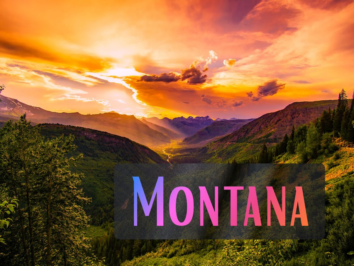 State - Montana
