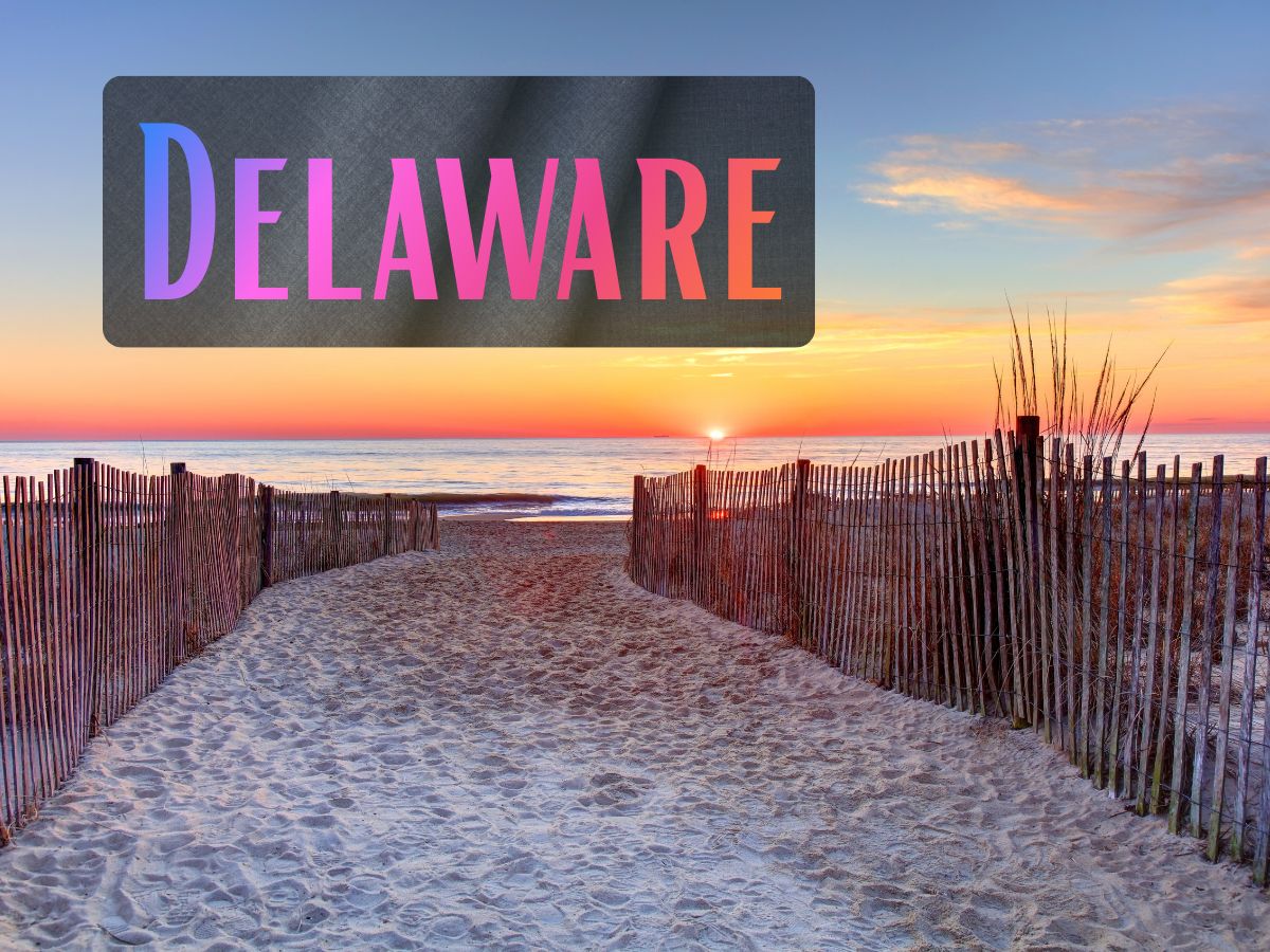 State - Delaware