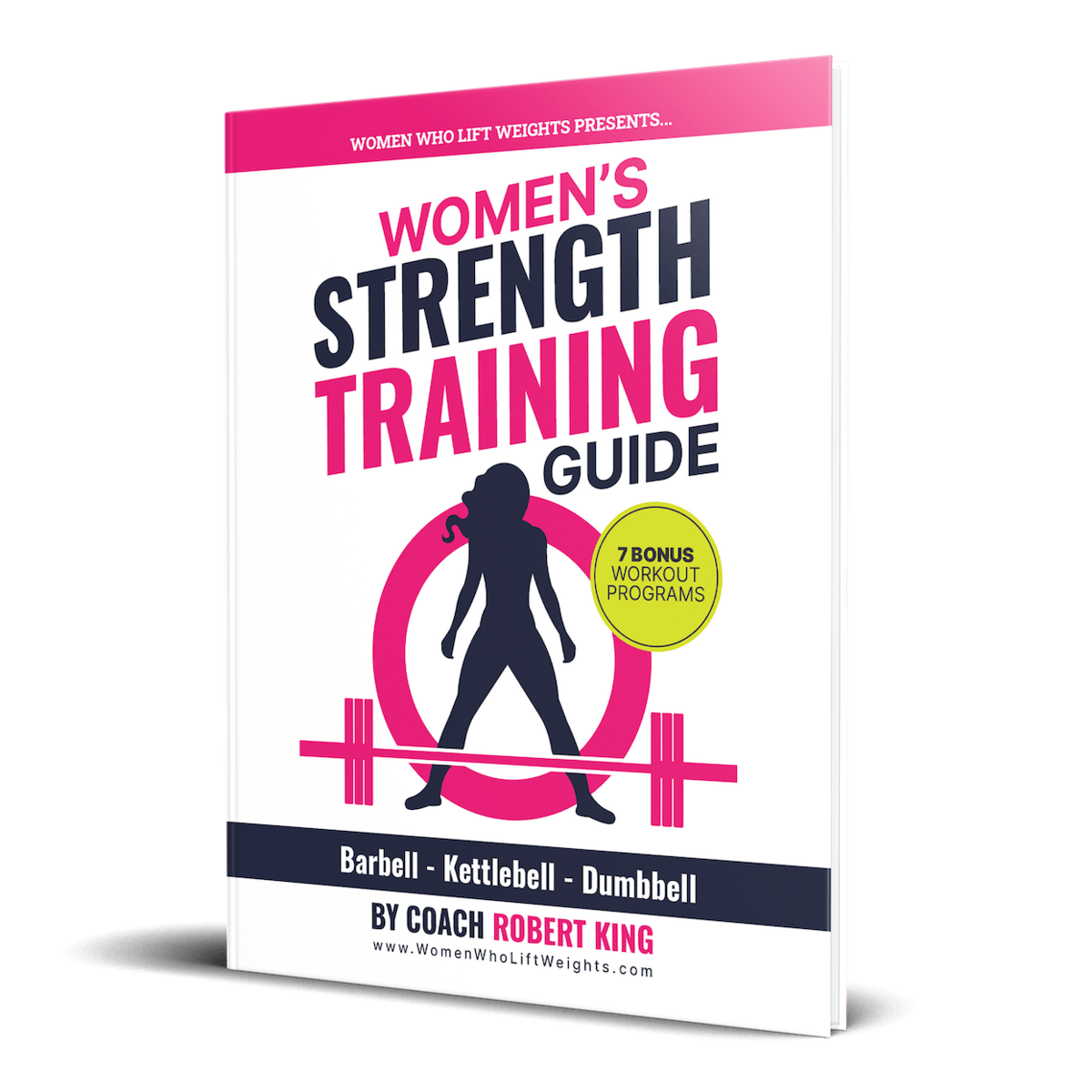 Main depiction of the publication on the landing page