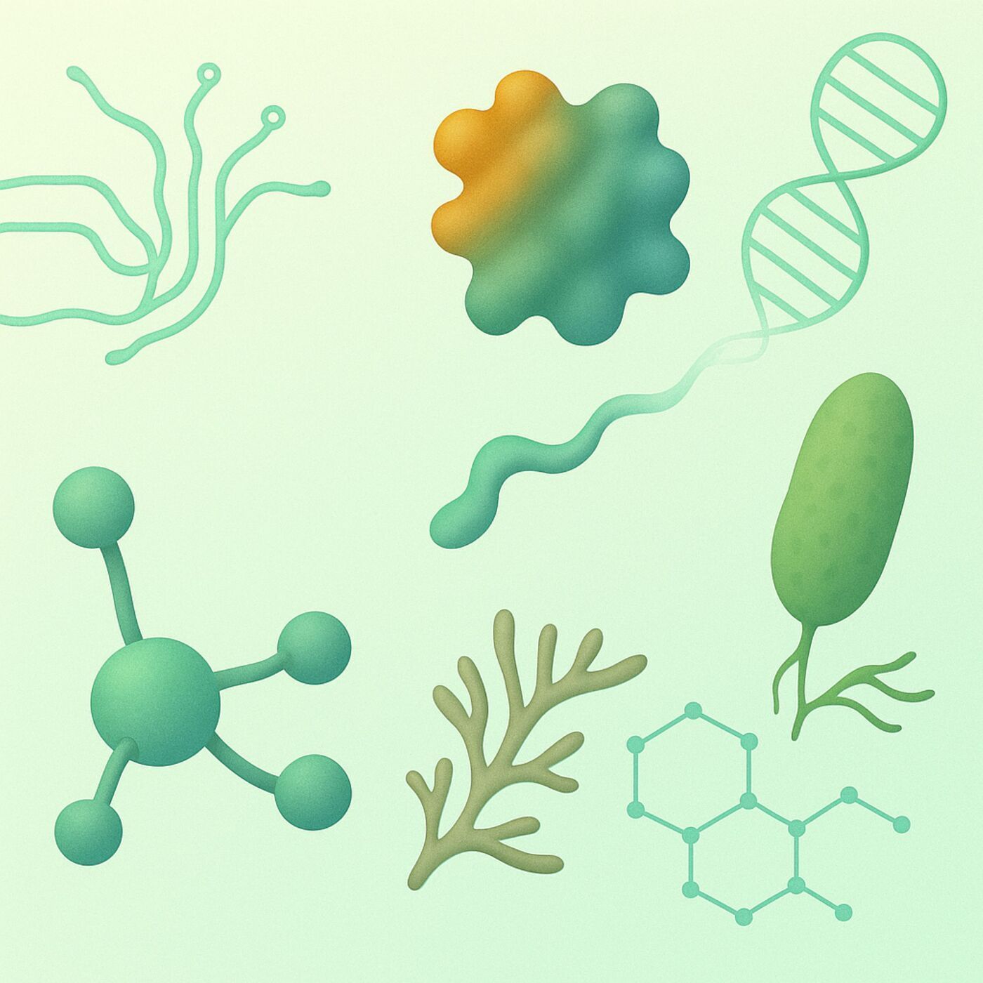 How to Master Biodesign Vocabulary How to Master Biodesign Vocabulary