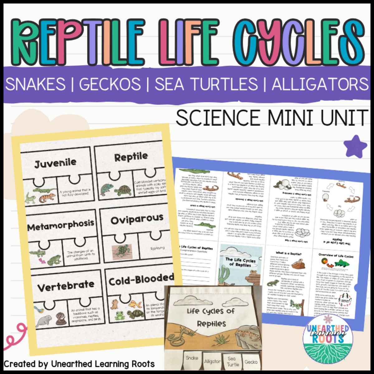 Life Cycles of Reptiles: Science Mini Unit for Grades 2–3 (Snakes, Geckos, Sea Turtles & Alligators)