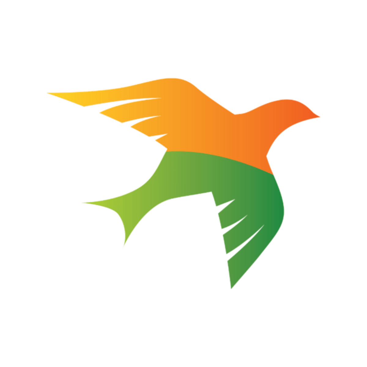 Emes Travel Newsletter