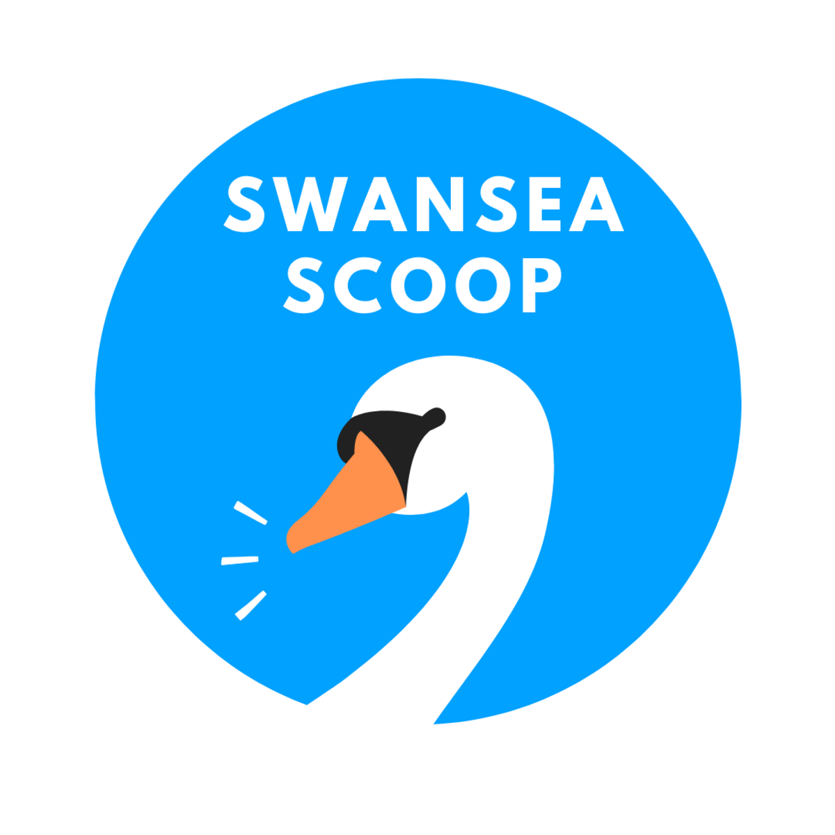 Swansea Scoop