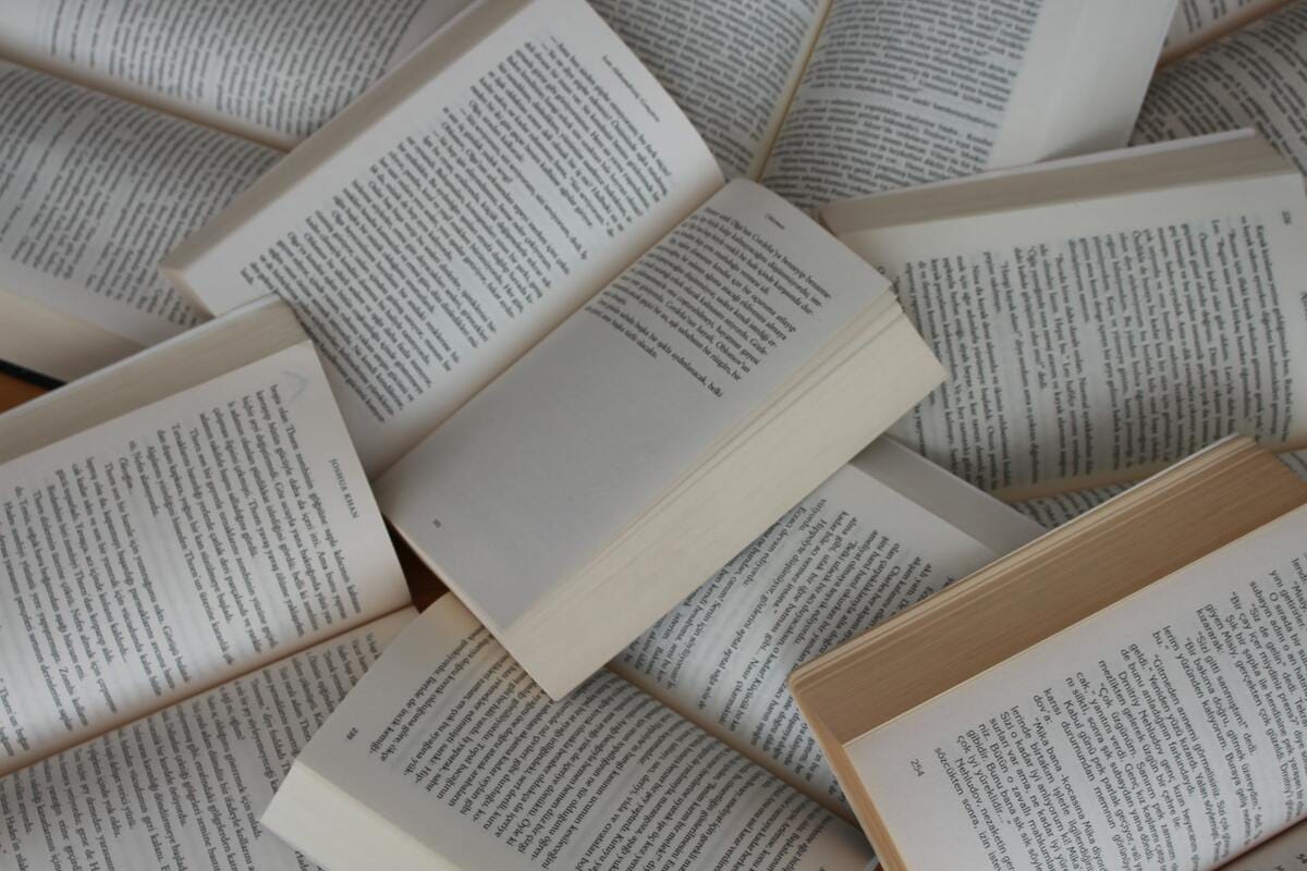 The Book Nerd