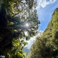 Notes to Myself logo