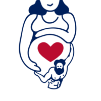 MVPP - Most Valuable Pregnancy Partner