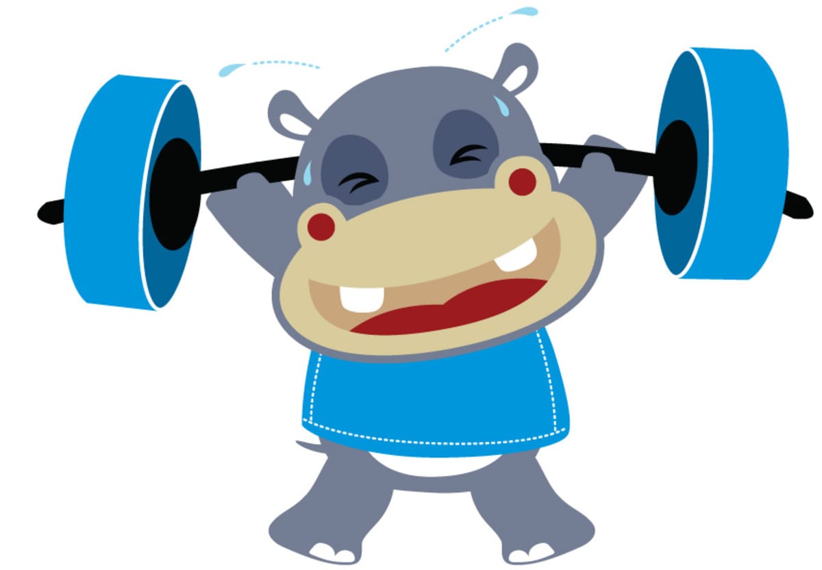 Newsletter FirstGym
